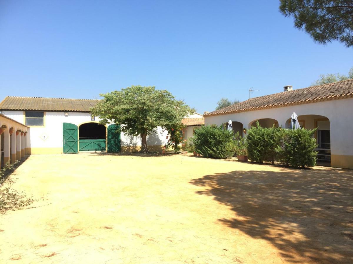 El Rocio 1 Gites Equestre Saintes-Maries-de-la-Mer Kültér fotó