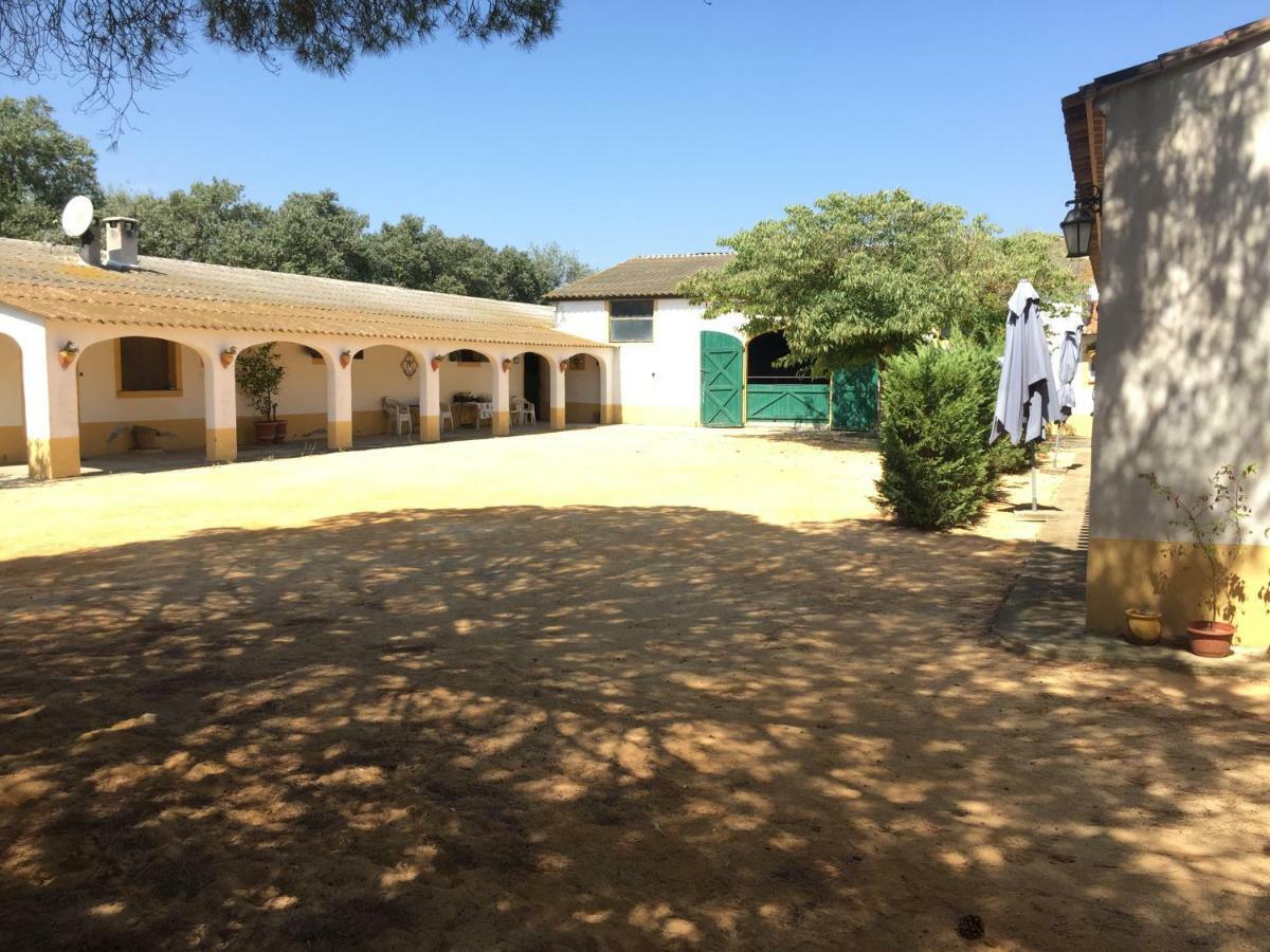 El Rocio 1 Gites Equestre Saintes-Maries-de-la-Mer Kültér fotó