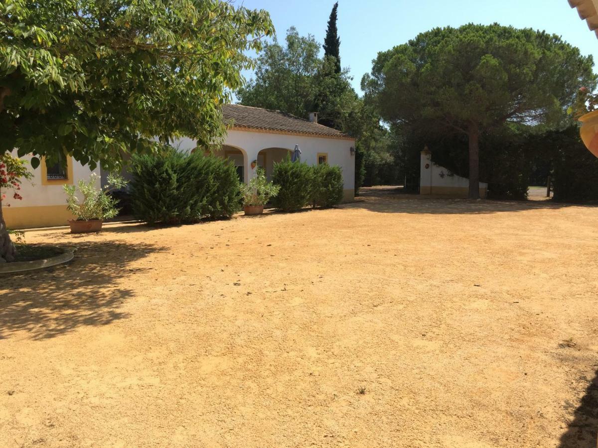 El Rocio 1 Gites Equestre Saintes-Maries-de-la-Mer Kültér fotó