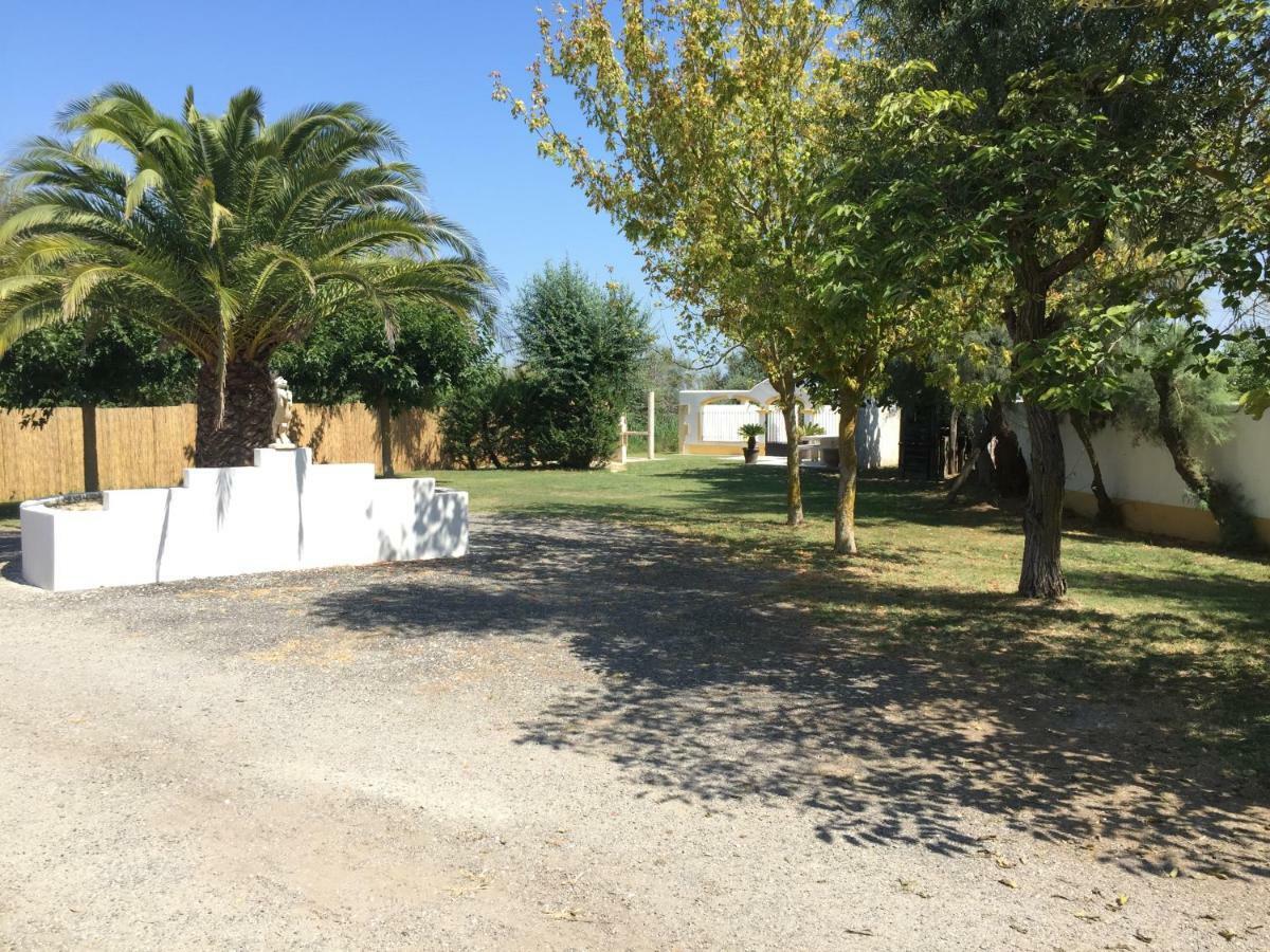 El Rocio 1 Gites Equestre Saintes-Maries-de-la-Mer Kültér fotó